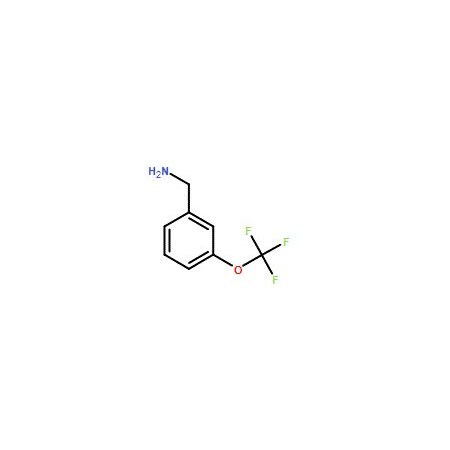 Ak Scientific 3-(Trifluoromethoxy)benzylamine (25g), CAS 93071-75-1 X8408-25g