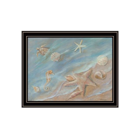Homeroots Seashore Star Black Framed Print Wall Art 529667