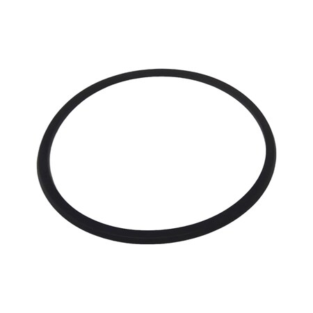 Cnh SEAL, CNH OEM 317353A1 317353A1