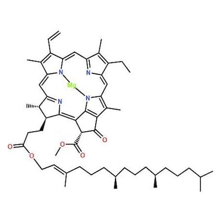 Ak Scientific Chlorophyll (1g), CAS 1406-65-1 X7304-1g