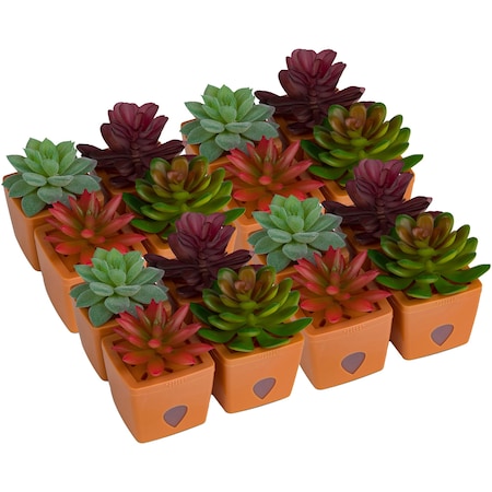 Jt Eaton ZendoZones Fruit Fly Traps, 12 Assorted with Terracotta Base 1820B-HALEN