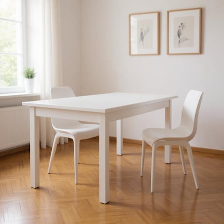 Homeroots 48" White Solid Wood Dining Table 548868