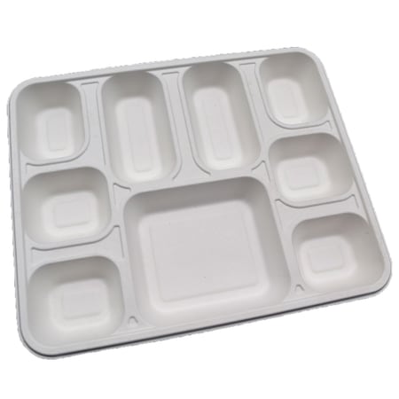 Rdi Bagasse 9 Compartment Rectangular Plate 200cs, 200PK IB-PLT 9 C