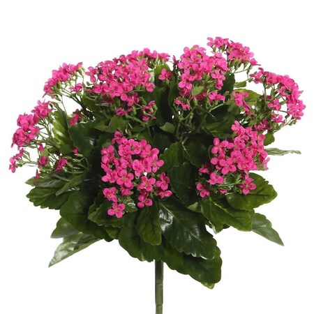 Vickerman 15.5 in.Hot Pink Kalanchoe Bush FL170204