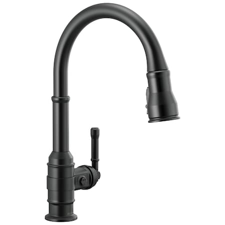 Delta Broderick Single Handle Pull-Down Kitchen Faucet 9190-BL-DST