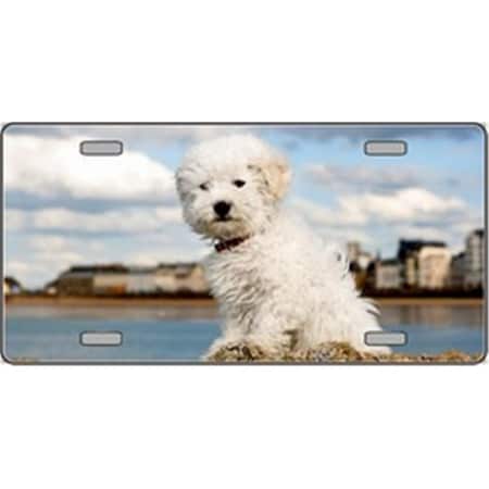 Powerhouse Bichon Frise Dog Pet Novelty License Plates- Full Color Photography License Plates PO516383