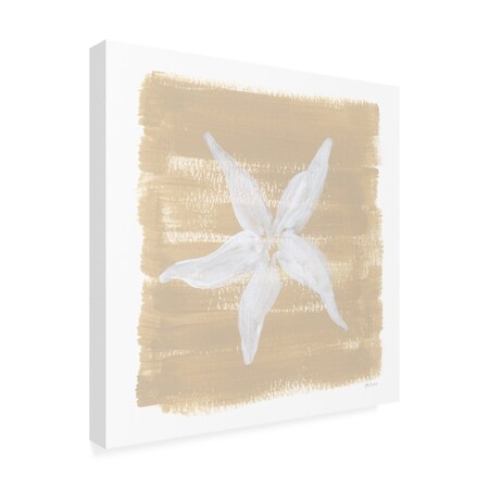 Trademark Fine Art Outdoor Canvas Art - Yvette St. Amant 'Soft Sea Starfish' Wall Art for Patios, or Gardens WAP32527-OC2424WR