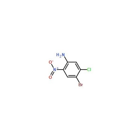 Ak Scientific 4-Bromo-5-chloro-2-nitroaniline (1g), CAS 827-33-8 2784AC-1g