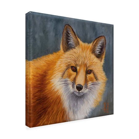 Trademark Fine Art Outdoor Canvas Art - Jeff Hoff 'Red Fox Portrait 2' Wall Art for Patios, or Gardens GRL00563-OC2424WR