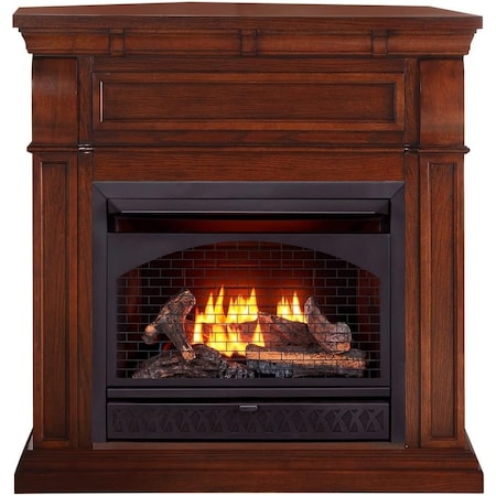 Procom Heating Dual Fuel Ventless Gas Fireplace System, 26,000 BTU, T-Stat Control, Chestnut Oak Finish PFS-28T-1CO