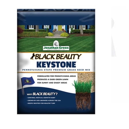 Shockwave 25 lbs Beauty Keystone, Black SH3852461