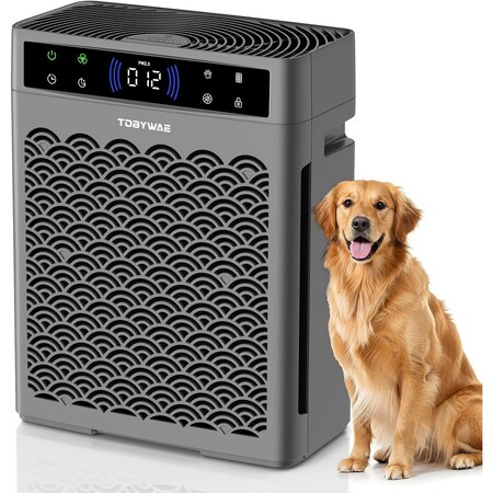 Edendirect 1250 sq.ft. True HEPA Air Purifier in Gray with 3-Speed, PM2.5 Real-time Display and 12H Timer ZR-QRSHA0229USV01