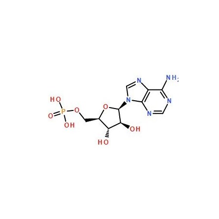 Ak Scientific Vidarabine monophosphate (1g), CAS 29984-33-6 V1616-1g
