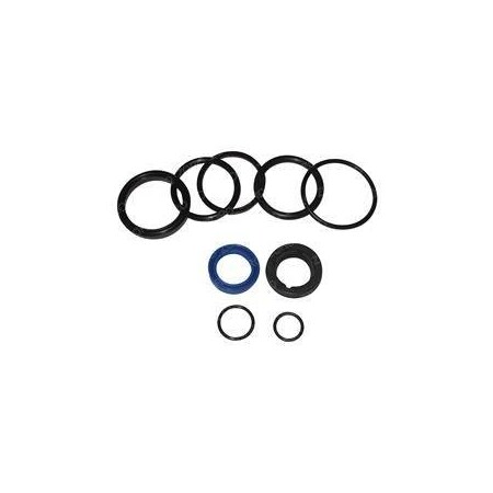 Jlg REPLACEMENT SEAL KIT, HYDRAULIC CYLINDER 105816SJ