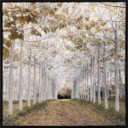 Homeroots White Gold Canvas Black Floater Frame Print Wall Art 416477