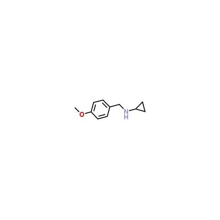Ak Scientific N-(4-Methoxybenzyl)cyclopropanamine (1g), CAS 70894-71-2 B271-1g