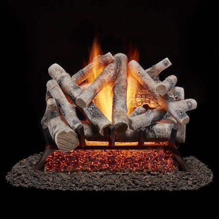 Bluegrass Living Vented Natural Gas or Propane Fireplace Log Set With Remote Control Kit, 24" Birch Wood, 55,000 BTU BVL24-2-RO