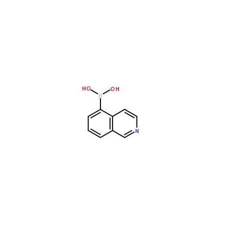 Ak Scientific Isoquinoline-5-boronic acid (1g), CAS 371766-08-4 X1354-1g
