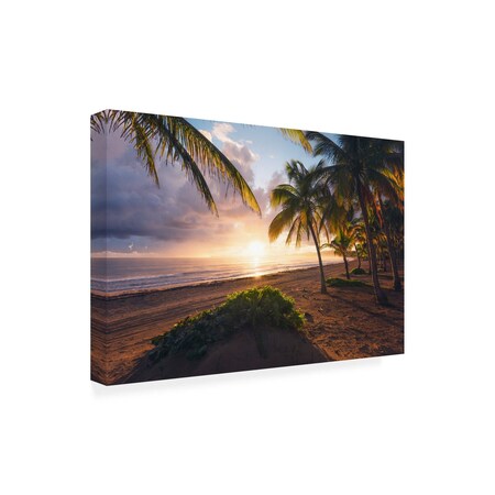 Trademark Fine Art Outdoor Canvas Art - Stefan Hefele 'Good Morning Paradise' Wall Art for Patios, or Gardens 1X21464-OC1624WR
