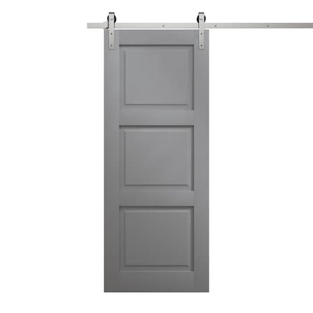 Sartodoors Modern Barn Door 24 x 80 inches, Ego 5010 Painted Grey Oak, 6.6FT Silver Rail Track Heavy Hardware EGO5010BD-S-SEK-24