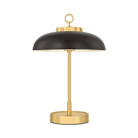 Hudson Valley Lighting Hector Integrated LED Rechargeable Table Lamp in Aged Brass/Bronze L3131-AGB/DB
