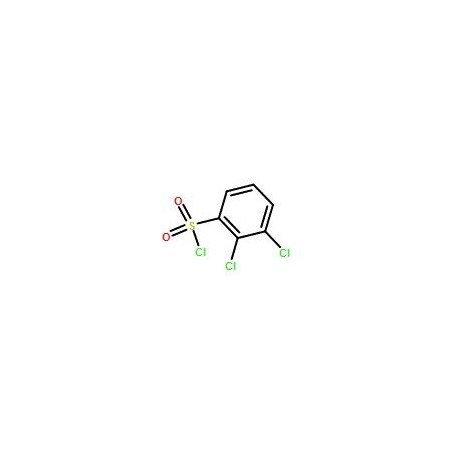 Ak Scientific 2, 3-Dichlorobenzenesulfonyl chloride (1g), CAS 82417-45-6 X8386-1g