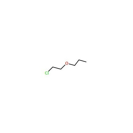 Ak Scientific 2-Chloroethyl-n-propylether (1g), CAS 42149-74-6 S768-1g
