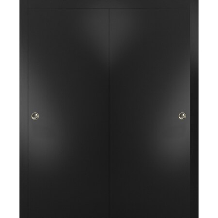 Sartodoors Sliding Closet Bypass Doors with Hardware, Planum 0010 Black Matte, Sturdy Rails Moldings Trims Har PLANUM0010DBD-BLK-6096