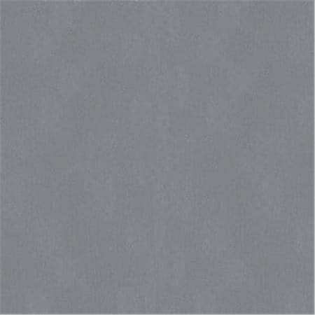 A E S Industries 356 Wire- Windsheild Cut Out 150 ft. Piano Wire Roll 0.25Lb- Silver AES-356