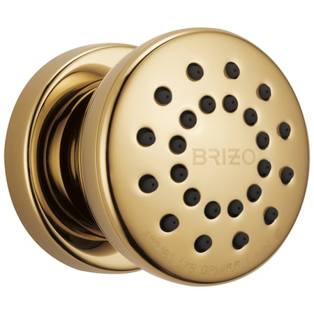 Brizo Essential Shower: Touch-Clean Round Body Spray 84110-PG