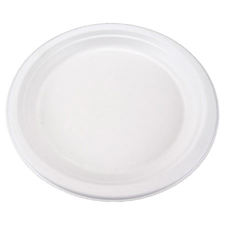 Rdi Bagasse Plate 10" 500cs, 500PK PLT-BGS-RND10