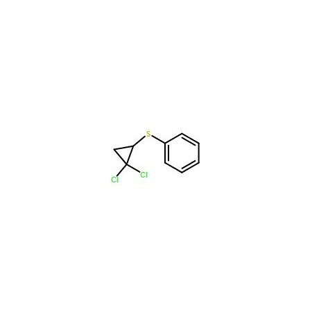 Ak Scientific 2, 2-Dichlorocyclopropyl phenyl sulfide (1g), CAS 63289-85-0 5120AL-1g