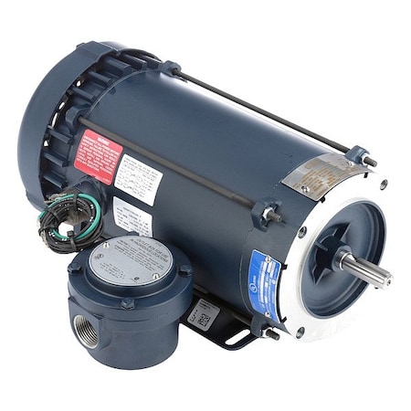 Leeson HazardousLocationMotor, 1hp, 1725RPM 119437.00