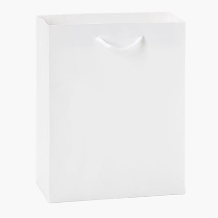 Nashville Wraps White Kraft Gift Bags, Cub 8x4x10, 10PK WTCMWH