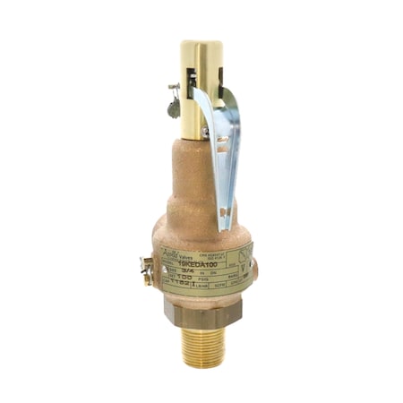 Conbraco 3/4 in. x1 in. 100#STEAM 1152 PPH 19-KEDA-100