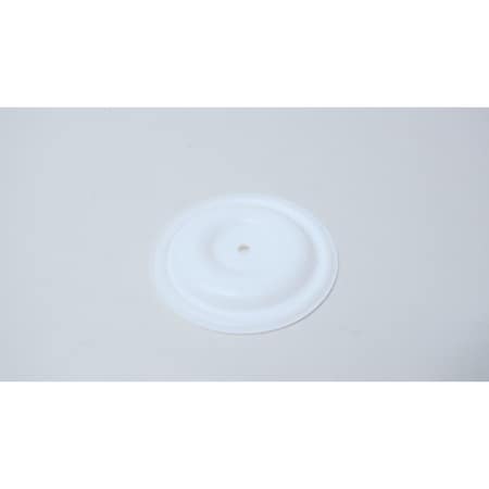 Wilden PUMP DIAPHRAGM 5IN TEF-93