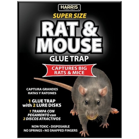 Harris Rat and Mouse Glue Trap BLKRAT-1