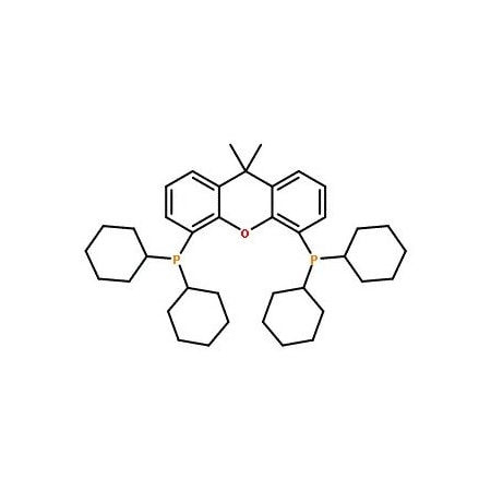 Ak Scientific 4, 5-Bis(dicyclohexylphosphino)-9, 9-dimethyl-9H-xanthene (1g), CAS 940934-47-4 6046AC-1g