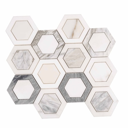 Apollo Tile Toscana 10x11 in. Polished Calacatta Bluette, Calacatta Thassos White Hexagon Mosaic Tile, 5PK APLEML88G47A