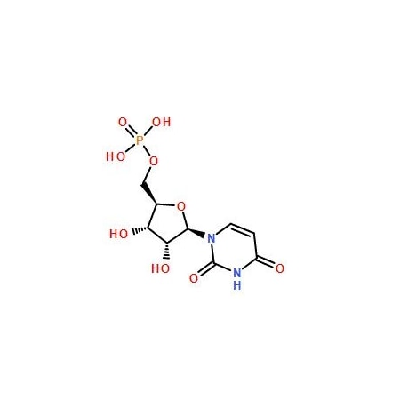 Ak Scientific Uridine 5'-monophosphate (100g), CAS 58-97-9 U490-100g
