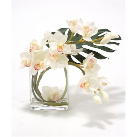 Back2Basics Waterlook White Orchid Arrangement with Split Philo Leaf in Curved Rectangular Glass Vase BA1339755