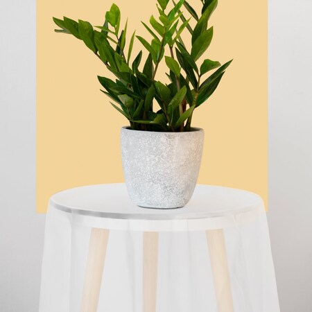 Smarty Had A Party 84 Clear Round Disposable Plastic Tablecloths 96 Tablecloths, 96PK 823270-CL-CASE