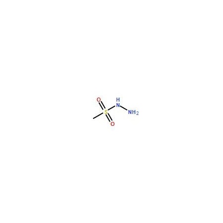 Ak Scientific Methanesulfonohydrazide (5g), CAS 10393-86-9 0927AA-5g