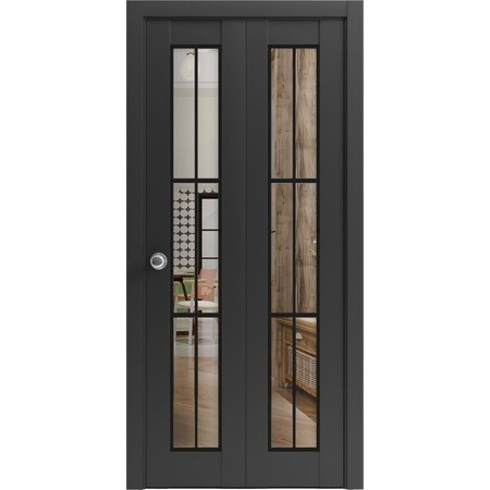 Sartodoors Sliding Closet Bi-fold Doors, Lucia 2366 Matte Black with Clear Glass and Aluminum Strips, Sturdy LUCIA2366BF-BLK-72 x 96 (2* 36x96)