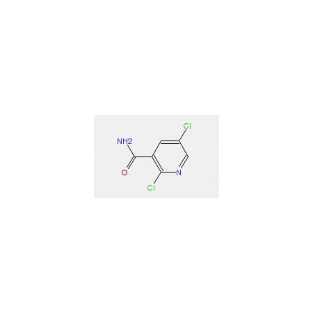 Ak Scientific 2, 5-Dichloronicotinamide (10g), CAS 75291-86-0 W8269-10g