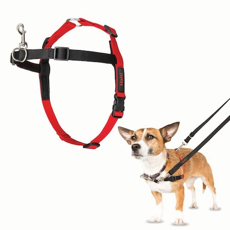 Jorgensen Laboratories Jorvet Halti Harness, Small J1012A