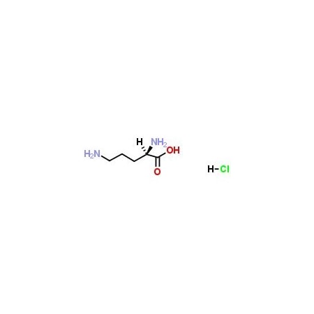 Ak Scientific D-Ornithine HCl (1g), CAS 16682-12-5 E208-1g