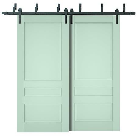 Sartodoors Sliding Closet Barn Bypass Doors Solid Core Modern Interior VEREGIO7411BBB-OLI-36 x 80 (2* 18x80)