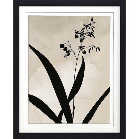 Homeroots Dianella Black Framed Print Wall Art 525691
