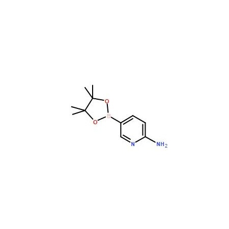 Ak Scientific 2-Aminopyridine-5-boronic acid pinacol ester (1g), CAS 827614-64-2 X2276-1g